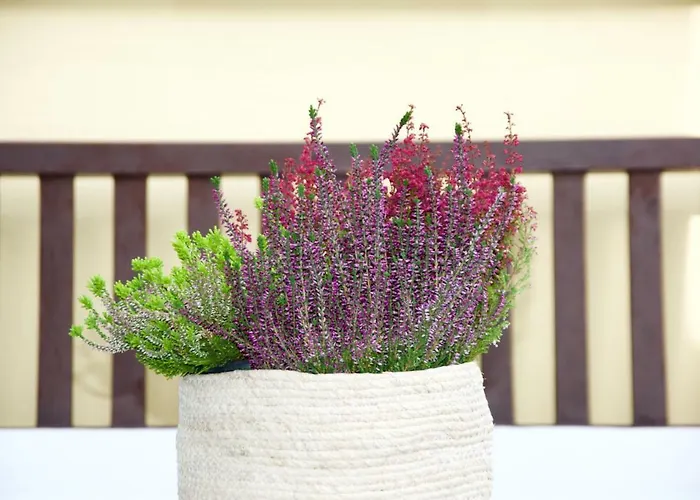 La Terrazza Di Isabel Сasa de vacaciones *